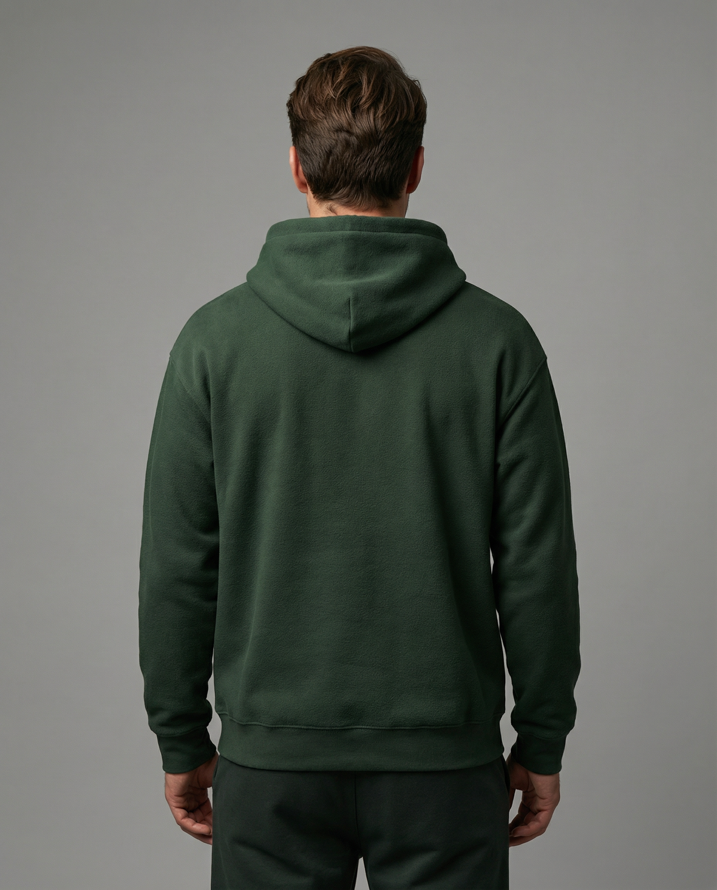 Artemis Lunar Orbit HooD2