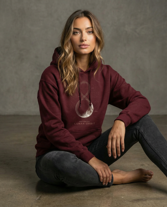 Artemis Lunar Orbit HooD1